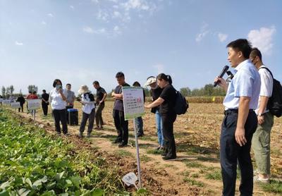 2022年第六屆北京市優(yōu)質(zhì)甘薯推介會在密云舉行