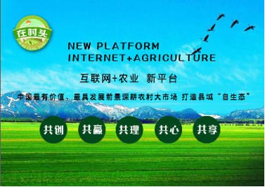 “互聯(lián)網+”優(yōu)秀案例:“在村頭”益農信息社電商平臺