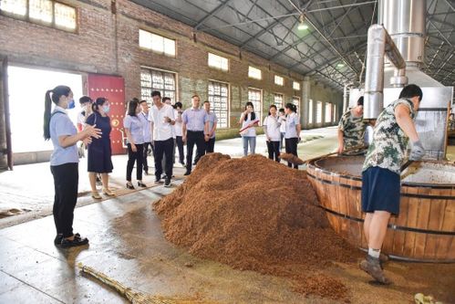 河北農(nóng)業(yè)大學(xué)食品科技學(xué)院師生赴 劉伶醉 開展社會(huì)實(shí)踐活動(dòng)