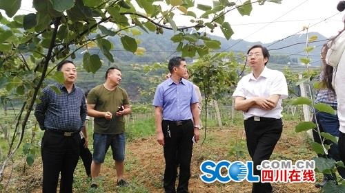 因地制宜因戶施策 農業(yè)科技服務為脫貧奔康提供一把金鑰匙