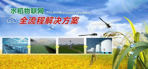 中外農(nóng)業(yè)大數(shù)據(jù)企業(yè)對(duì)壘,誰能更勝一籌?