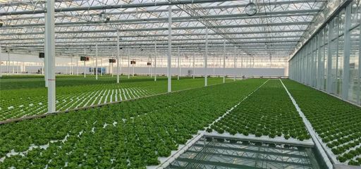 在這里能看到未來農業的“模樣”